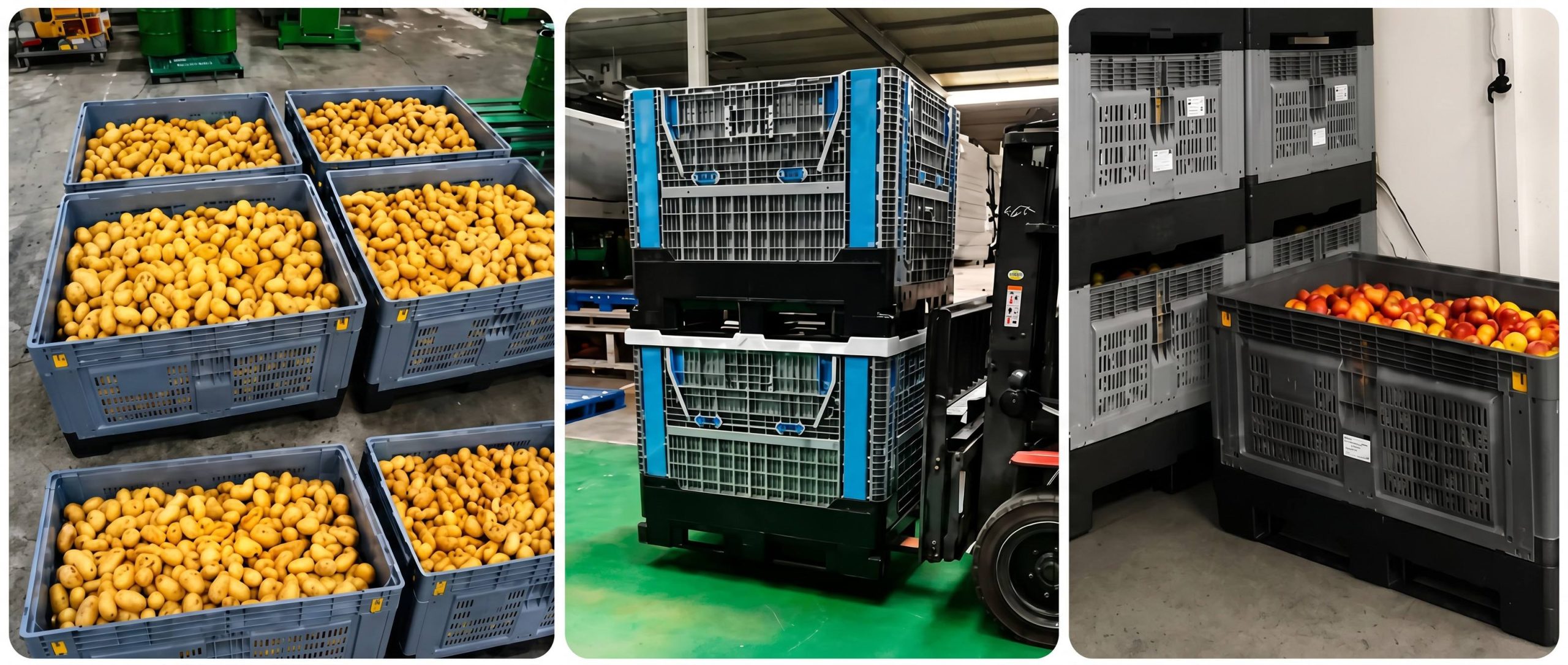 Caisses-palettes en plastique à alvéoles pour le stockage agricole, illustrant la manutention de pommes de terre en vrac, l'empilage de fruits et l'utilisation d'un chariot élévateur par Rulyda Plastic